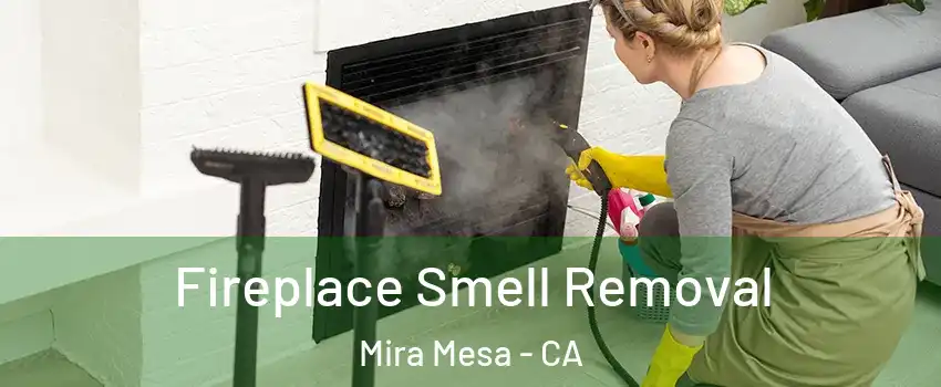 Fireplace Smell Removal Mira Mesa - CA