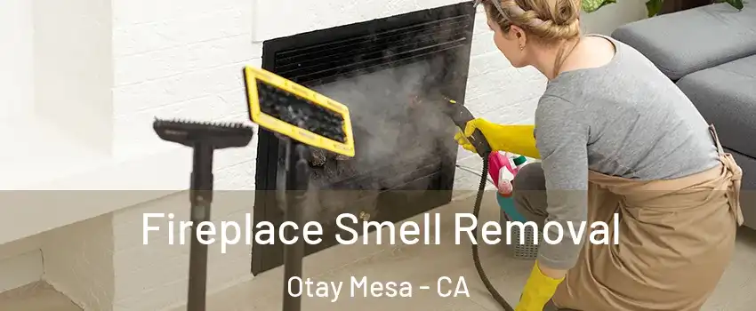 Fireplace Smell Removal Otay Mesa - CA