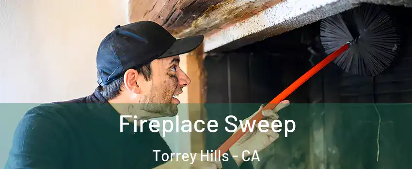 Fireplace Sweep Torrey Hills - CA