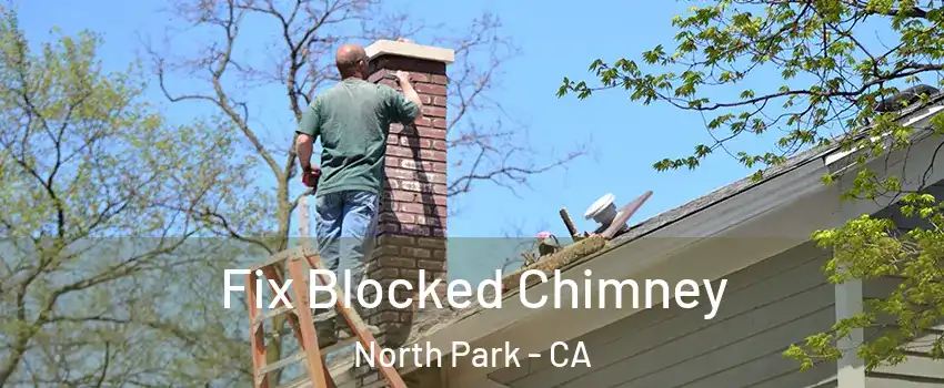 Fix Blocked Chimney North Park - CA