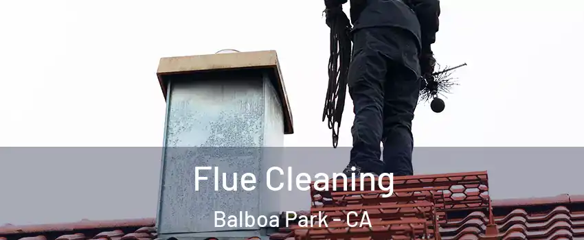 Flue Cleaning Balboa Park - CA