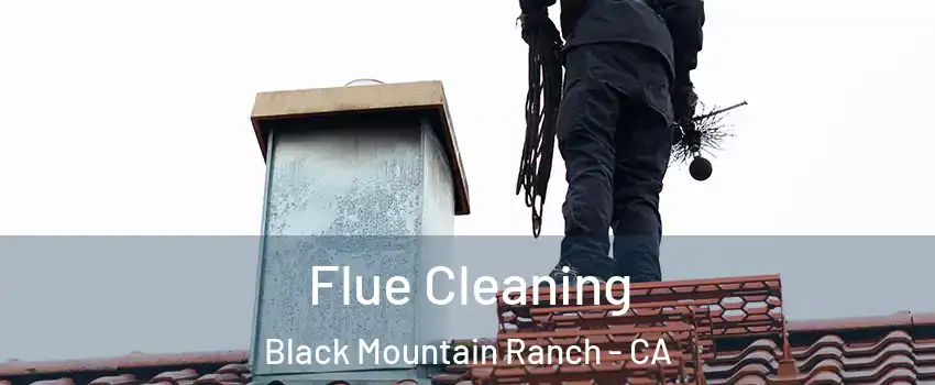 Flue Cleaning Black Mountain Ranch - CA