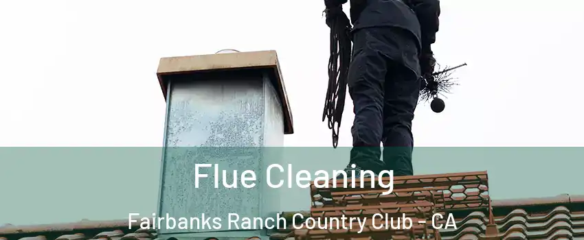 Flue Cleaning Fairbanks Ranch Country Club - CA