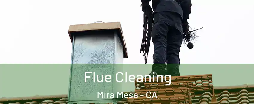 Flue Cleaning Mira Mesa - CA