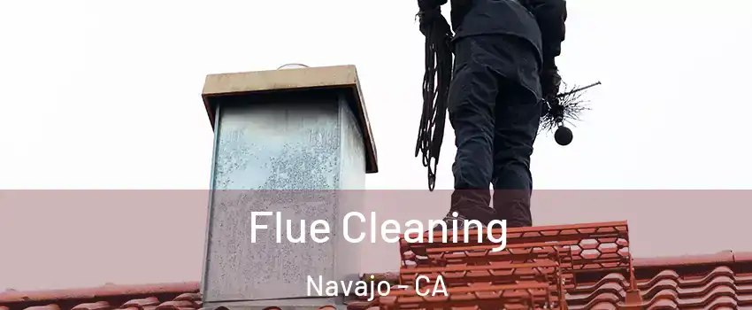 Flue Cleaning Navajo - CA