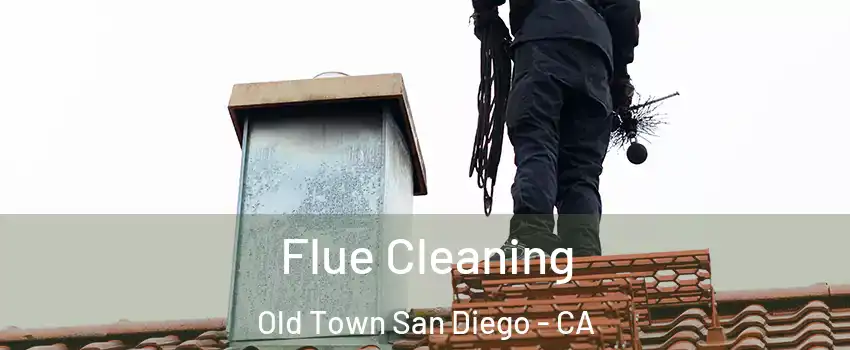 Flue Cleaning Old Town San Diego - CA