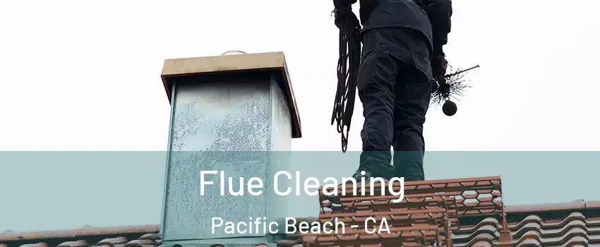 Flue Cleaning Pacific Beach - CA