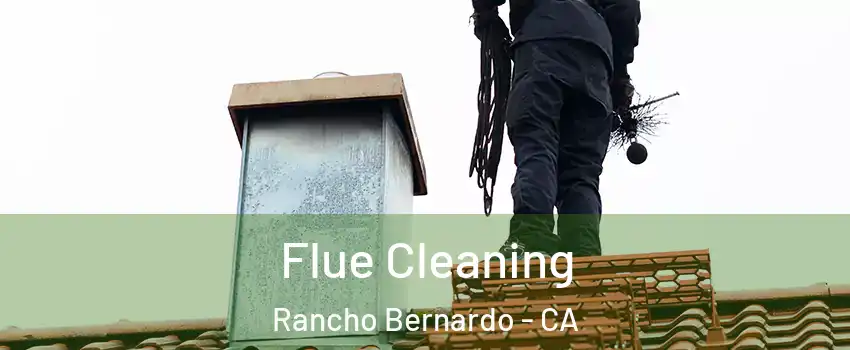 Flue Cleaning Rancho Bernardo - CA