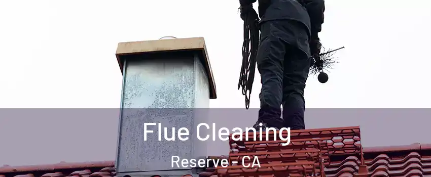 Flue Cleaning Reserve - CA