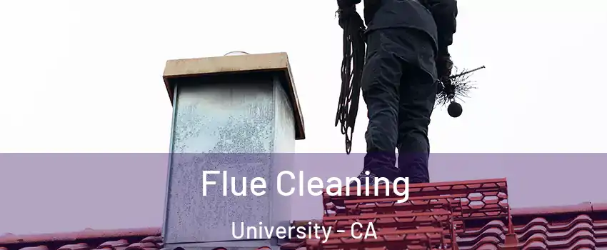 Flue Cleaning University - CA