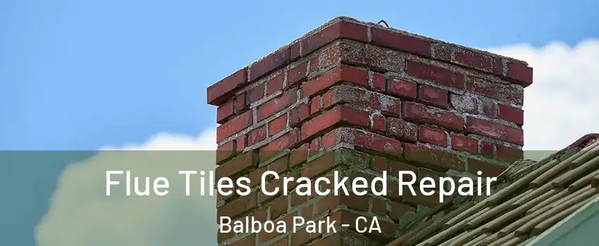 Flue Tiles Cracked Repair Balboa Park - CA