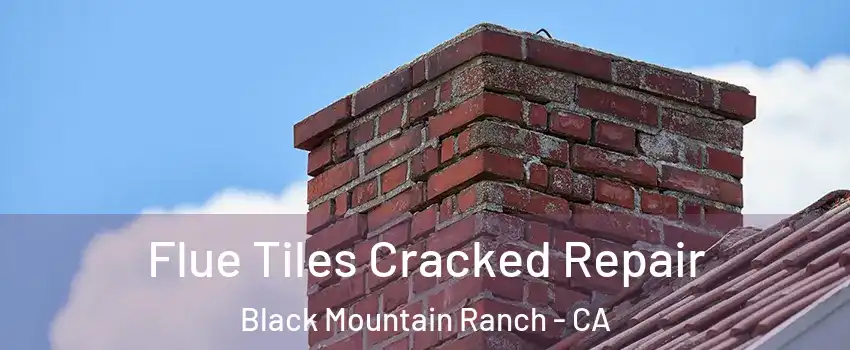 Flue Tiles Cracked Repair Black Mountain Ranch - CA