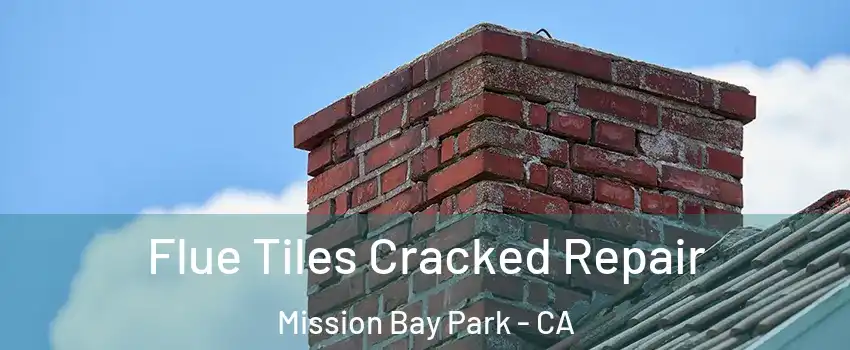 Flue Tiles Cracked Repair Mission Bay Park - CA