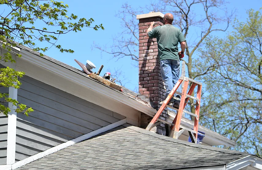 Chimney & Fireplace Inspections Services in San Diego, CA