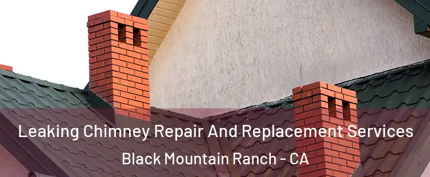 Leaking Chimney Repair And Replacement Services Black Mountain Ranch - CA