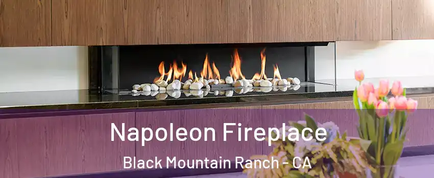 Napoleon Fireplace Black Mountain Ranch - CA