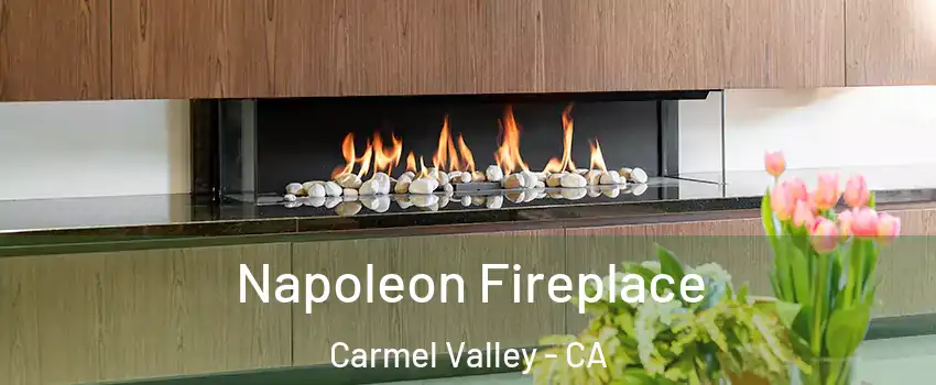 Napoleon Fireplace Carmel Valley - CA