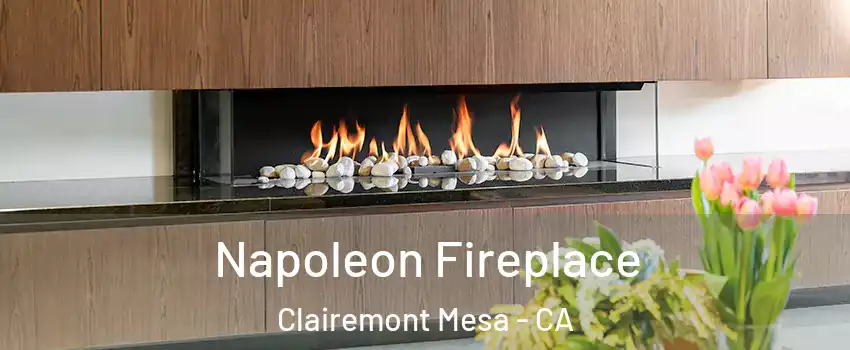 Napoleon Fireplace Clairemont Mesa - CA