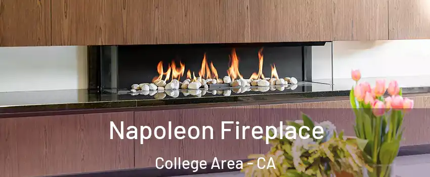 Napoleon Fireplace College Area - CA