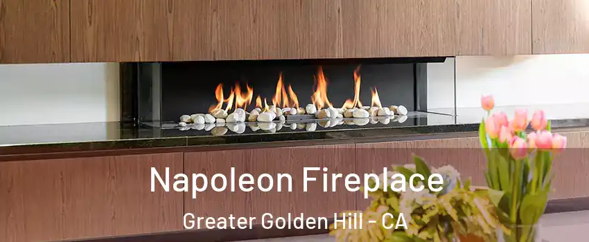 Napoleon Fireplace Greater Golden Hill - CA