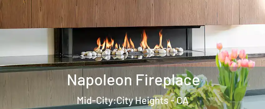 Napoleon Fireplace Mid-City:City Heights - CA