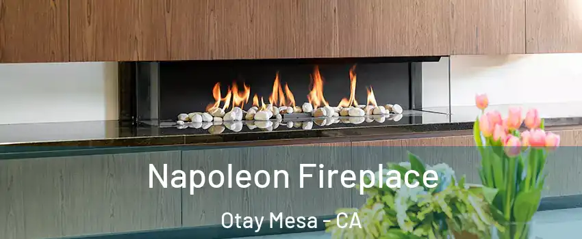 Napoleon Fireplace Otay Mesa - CA