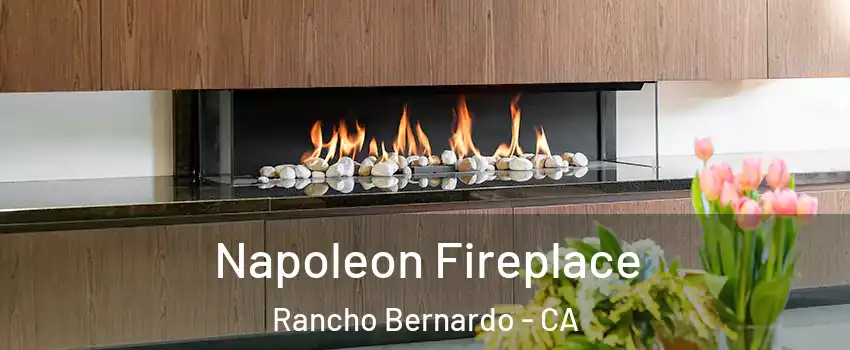 Napoleon Fireplace Rancho Bernardo - CA