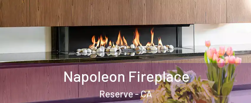 Napoleon Fireplace Reserve - CA