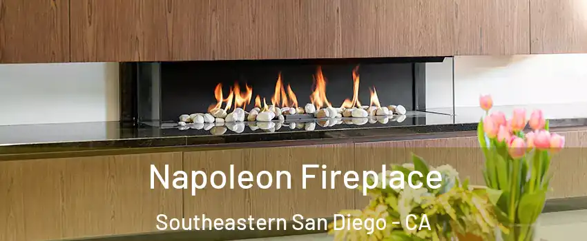 Napoleon Fireplace Southeastern San Diego - CA