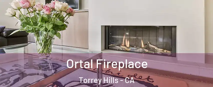 Ortal Fireplace Torrey Hills - CA