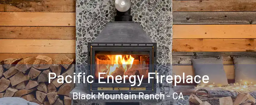 Pacific Energy Fireplace Black Mountain Ranch - CA